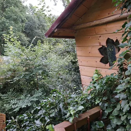 Holiday home Thy-cabane