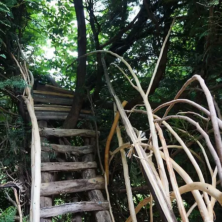 Thy-cabane Holiday home *