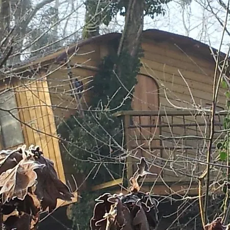 Thy-cabane Holiday home *